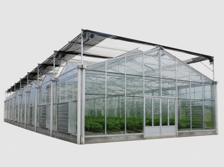 廊坊连栋薄膜蔬菜温室
